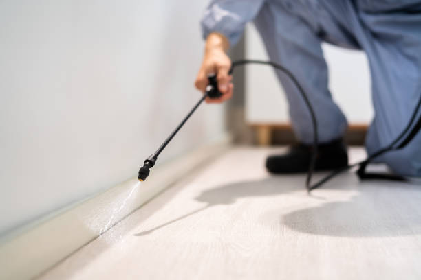 Licensed Pest Control service in Lyons, KS - Show Me Pest Control