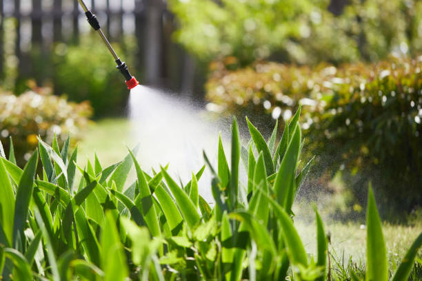 24/7 Emergency Wasp Removal experts in Lyons, KS