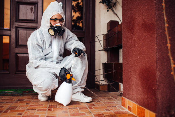 Reliable Wasp Removal contractor in Lyons, KS by Show Me Pest Control